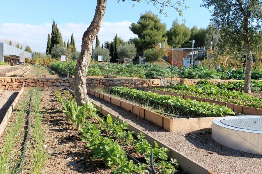 Centro De Agroecologia Y Medio Ambiente De Murcia Bullas Bagian luar foto