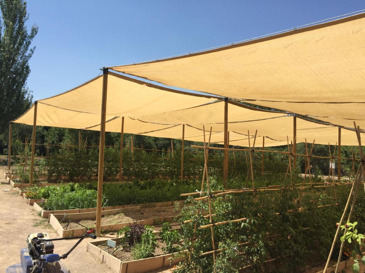 Centro De Agroecologia Y Medio Ambiente De Murcia Bullas Bagian luar foto