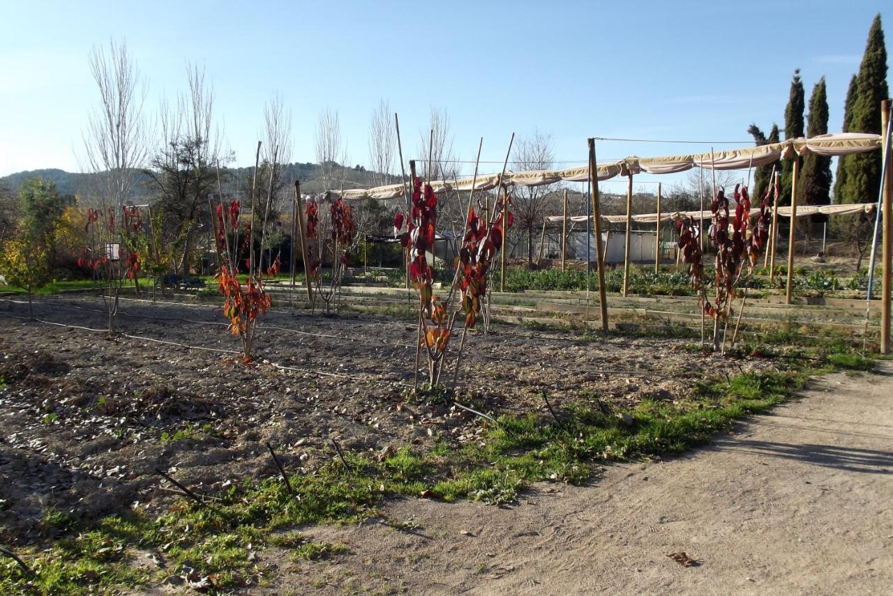 Centro De Agroecologia Y Medio Ambiente De Murcia Bullas Bagian luar foto