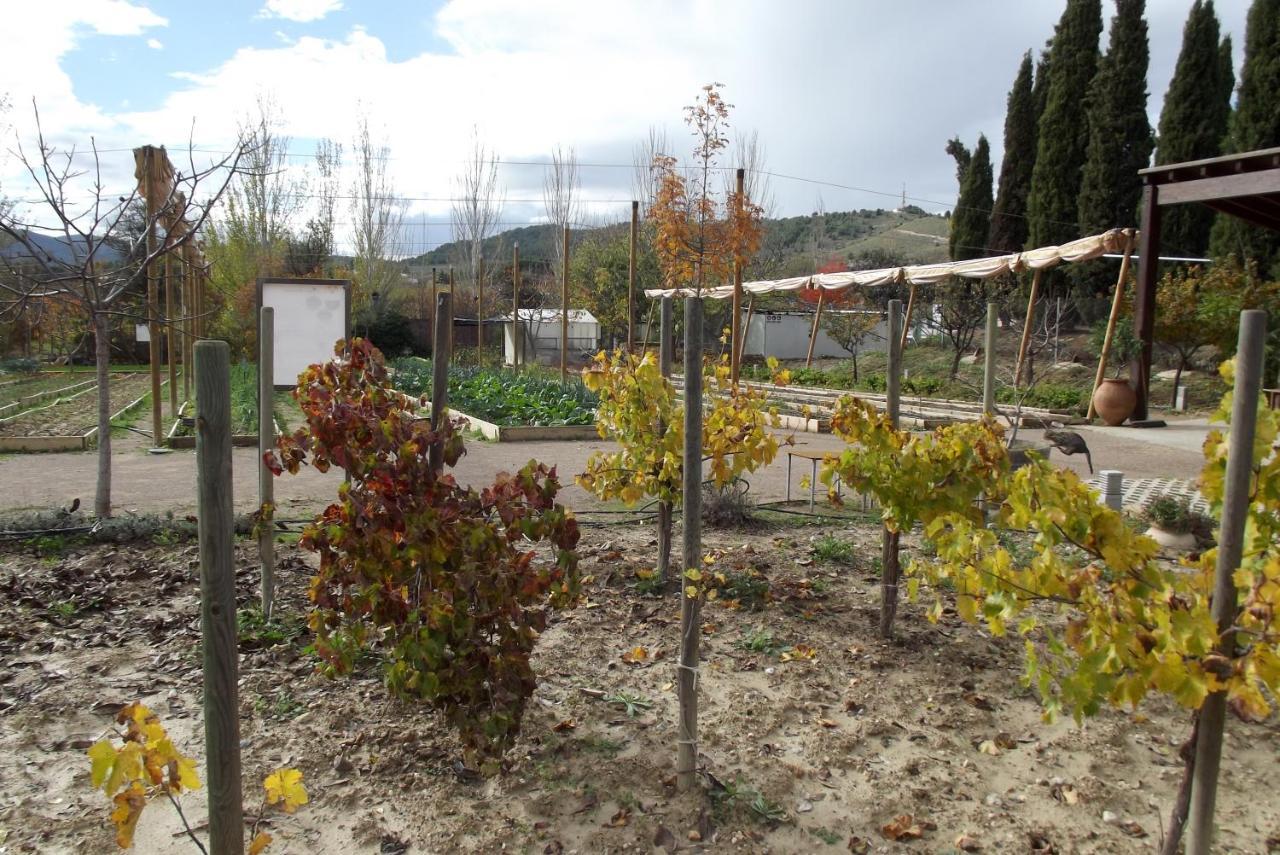 Centro De Agroecologia Y Medio Ambiente De Murcia Bullas Bagian luar foto