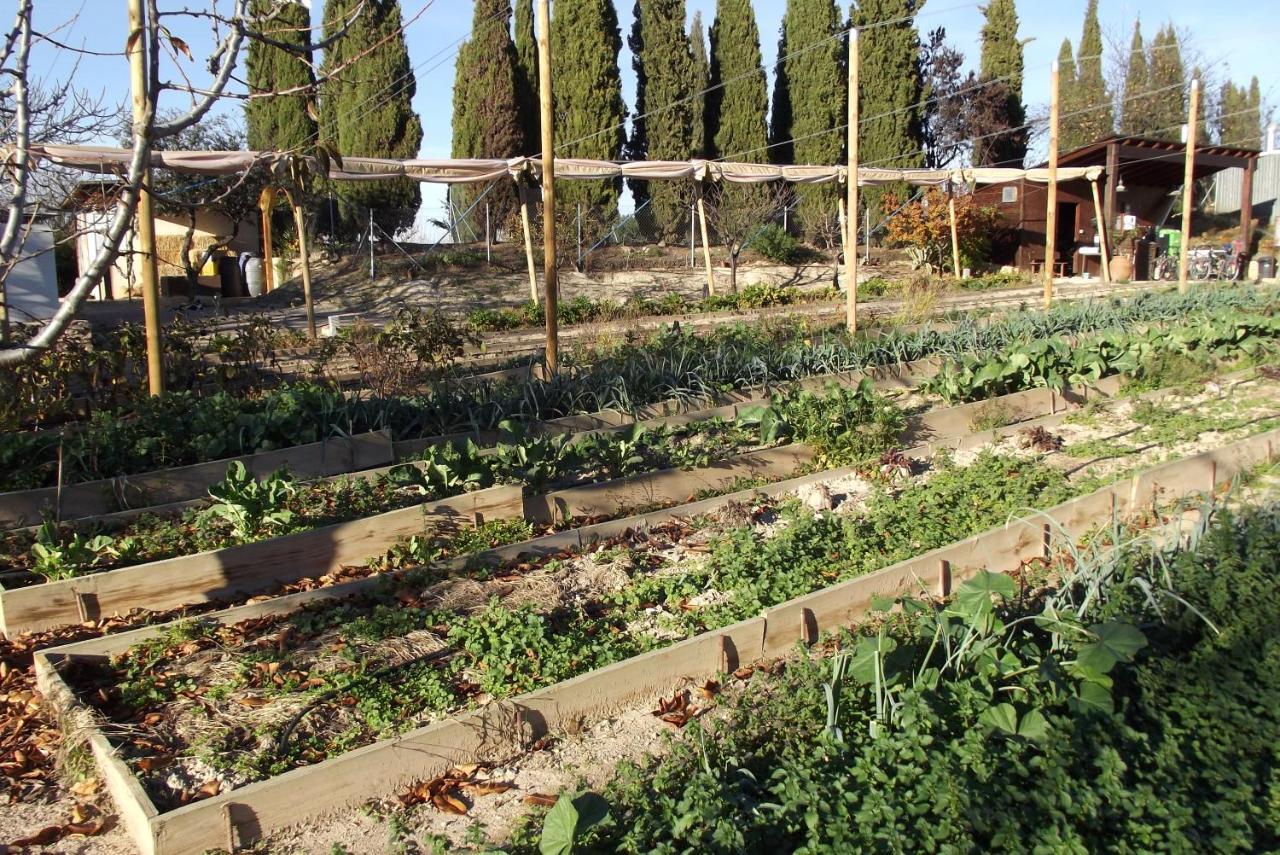 Centro De Agroecologia Y Medio Ambiente De Murcia Bullas Bagian luar foto
